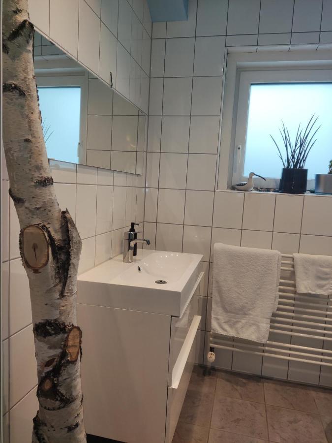 קרלסרוהה Zen Apartment - Spacious - Garden - Kitchen מראה חיצוני תמונה